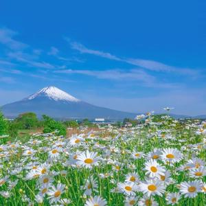 四月电子厂全景沟厕
