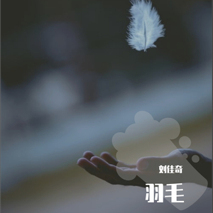 四月电子厂全景沟厕
