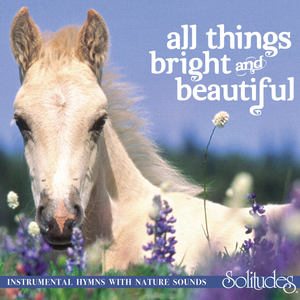 四月电子厂全景沟厕
