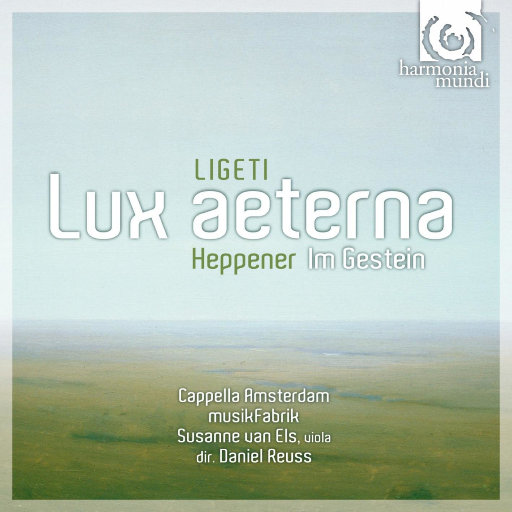 四月电子厂全景沟厕
